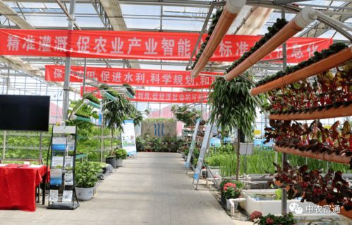 加快工廠化循環水養殖裝備技術創新，助推水產養殖綠色高效發展